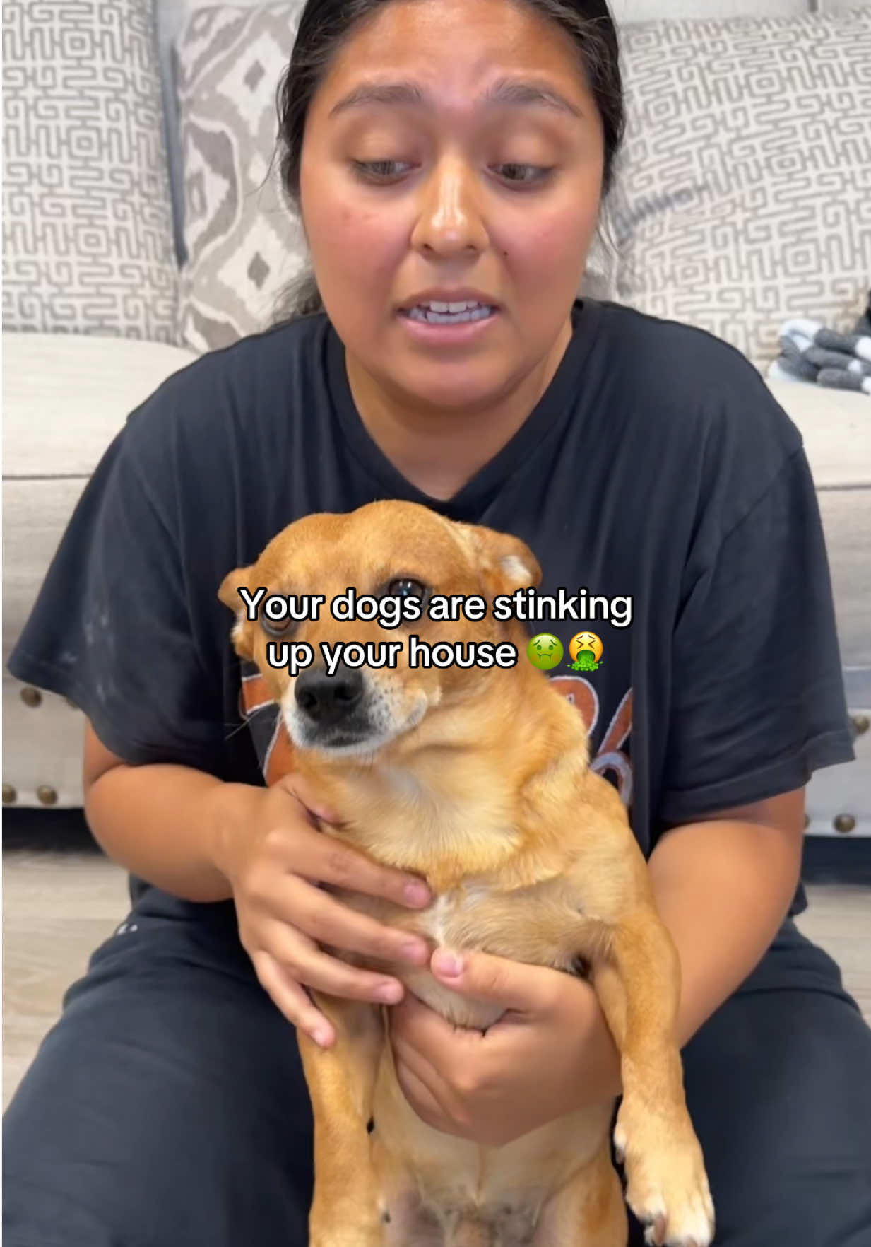 @DoraPalm 💖