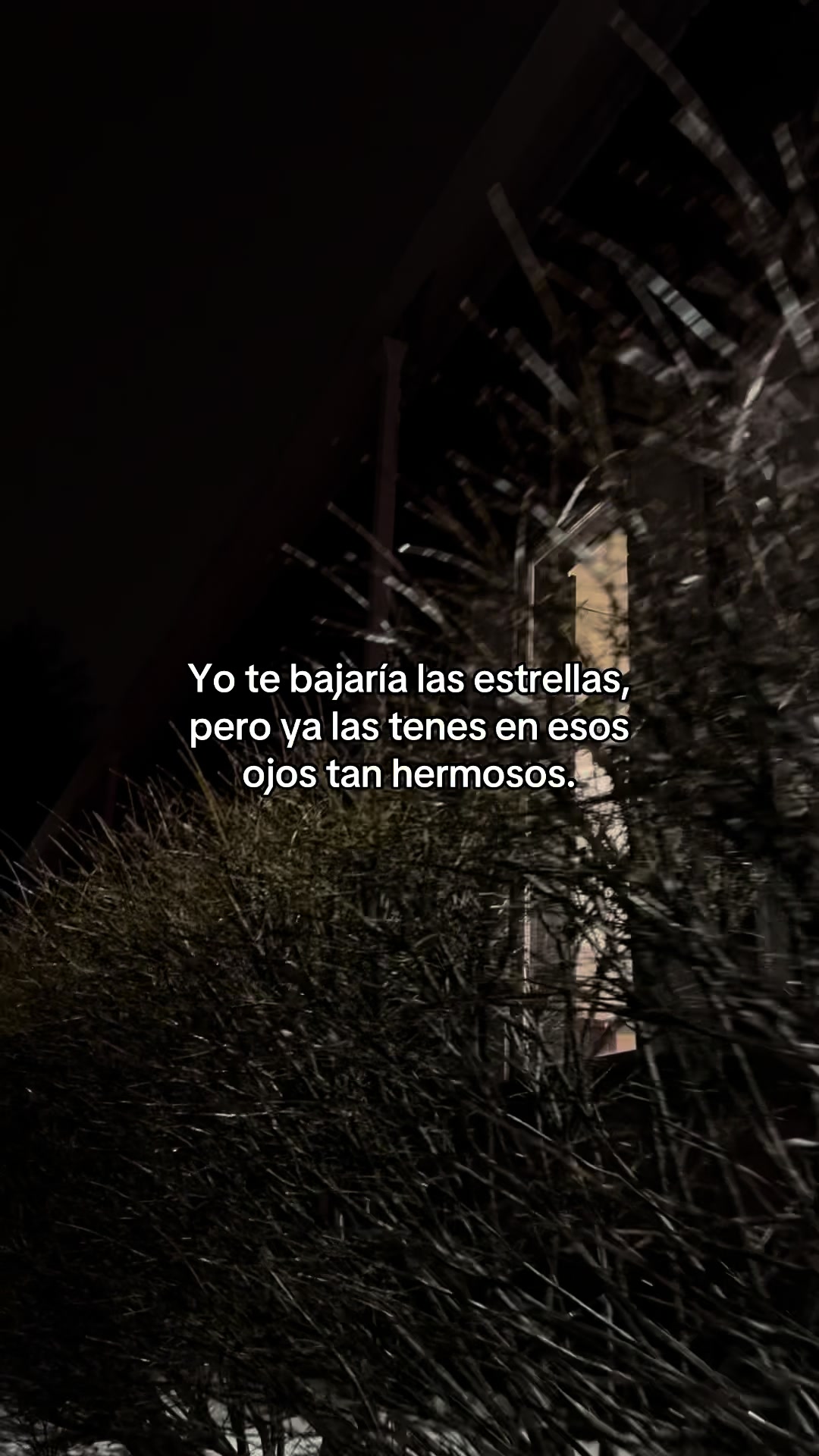 @locoperoportii