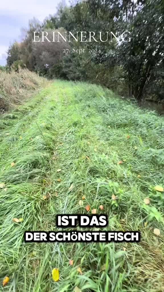 @Fischbulette