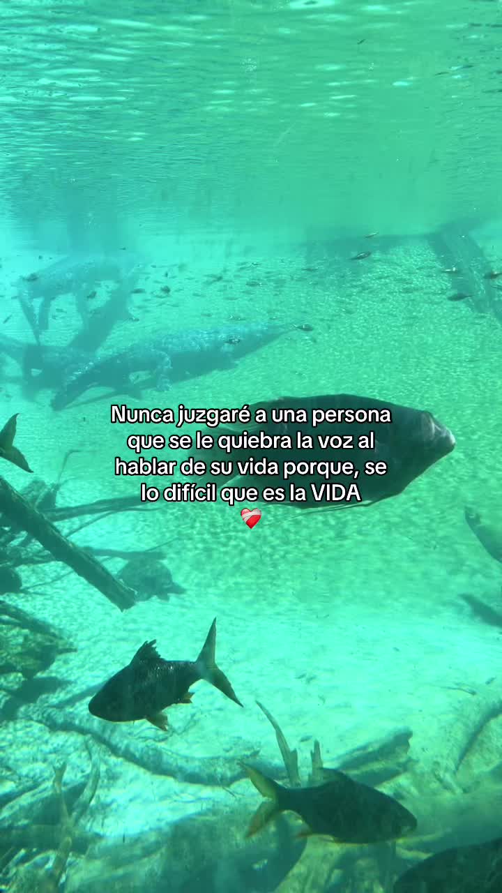 @🖤Carmensitha🇺🇸💗