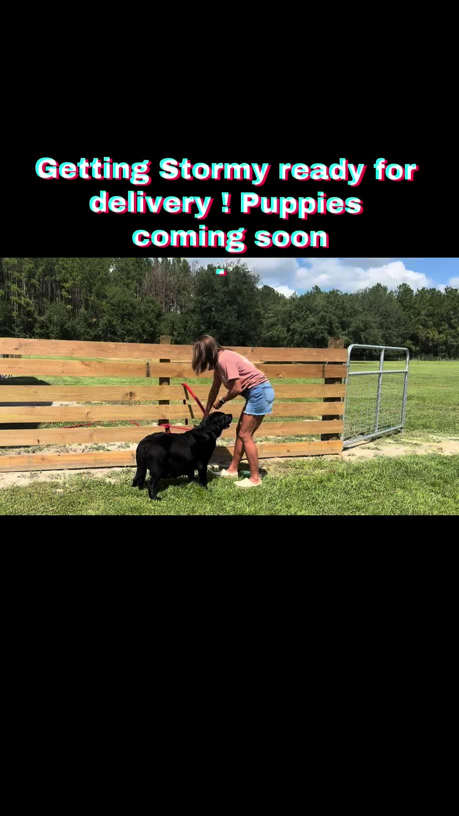 @RRFarmLabs