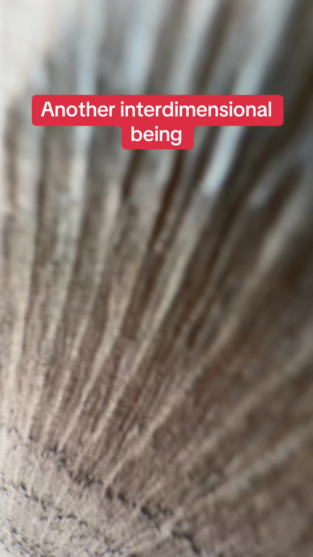 @l_u_c_e_r_o_117