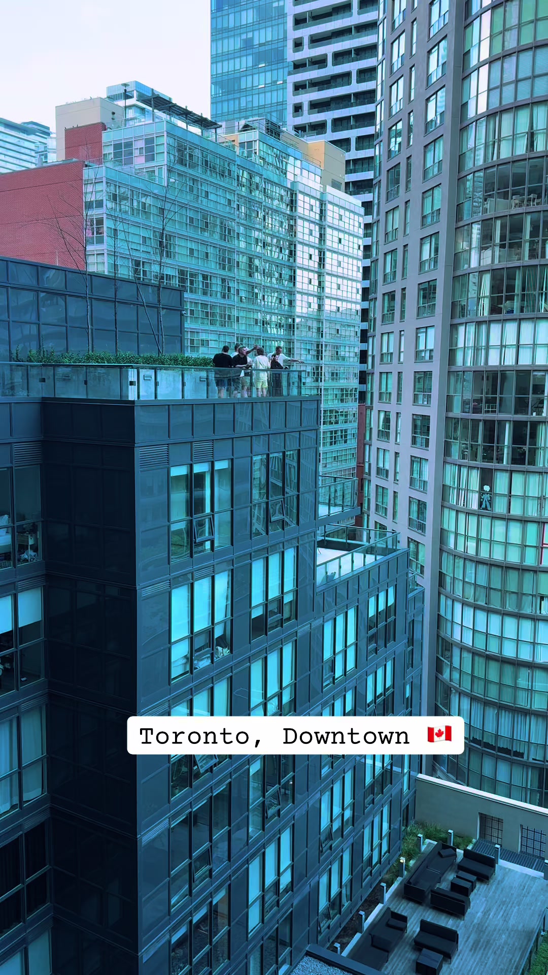 @Toronto Vibe🇨🇦