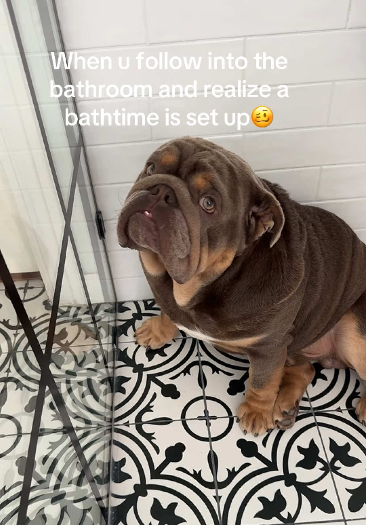@RawlsTheBulldog