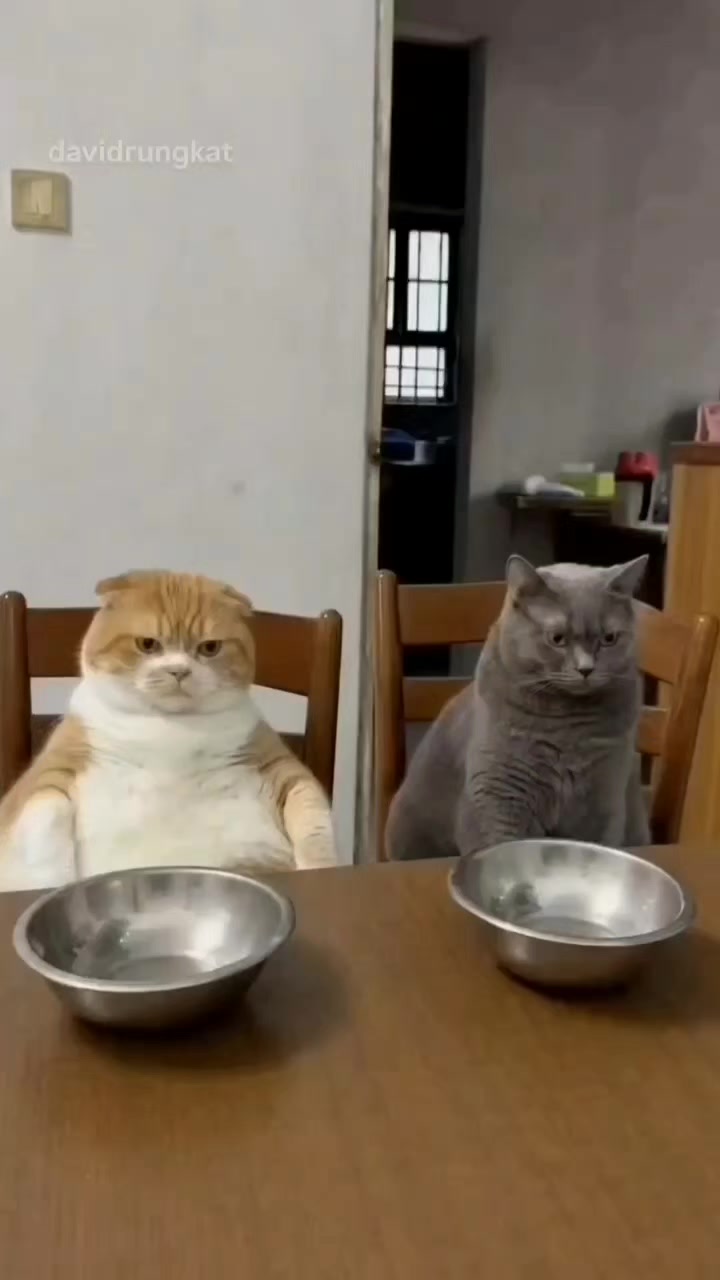 @올싱나야