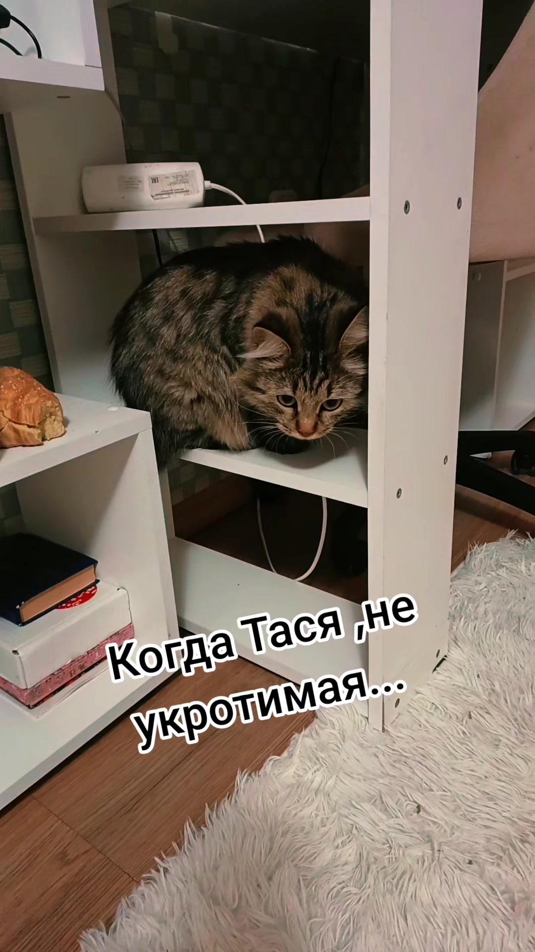 @ТАНЮШКА 🌺🌺