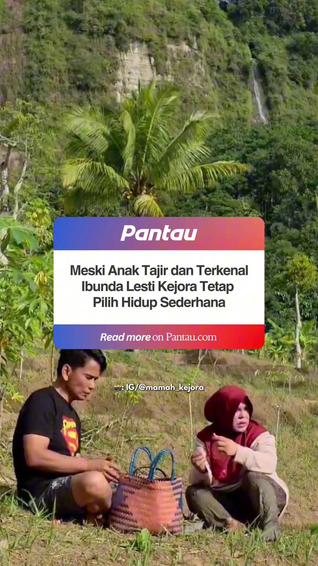 @pantau.hitz