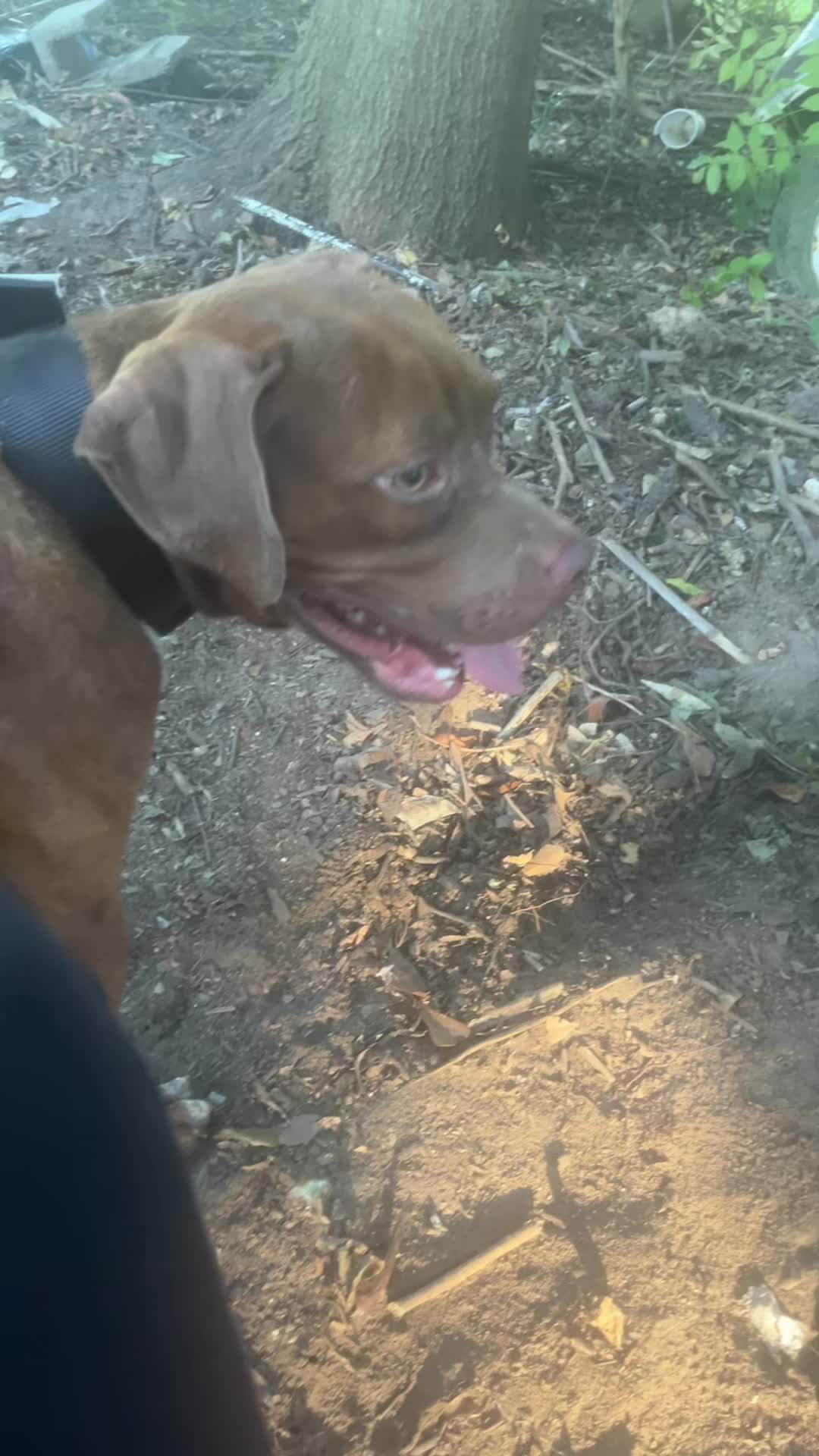@kamwithapbt