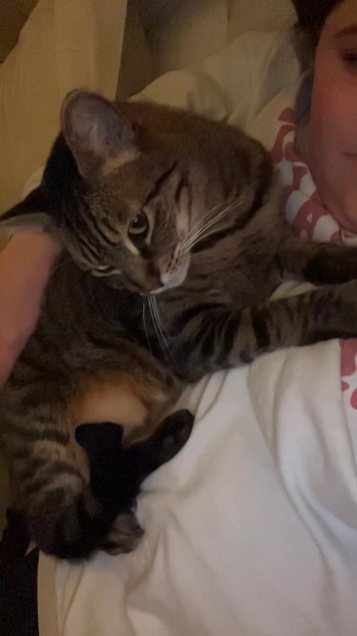 @Alyssa 🦋🐱