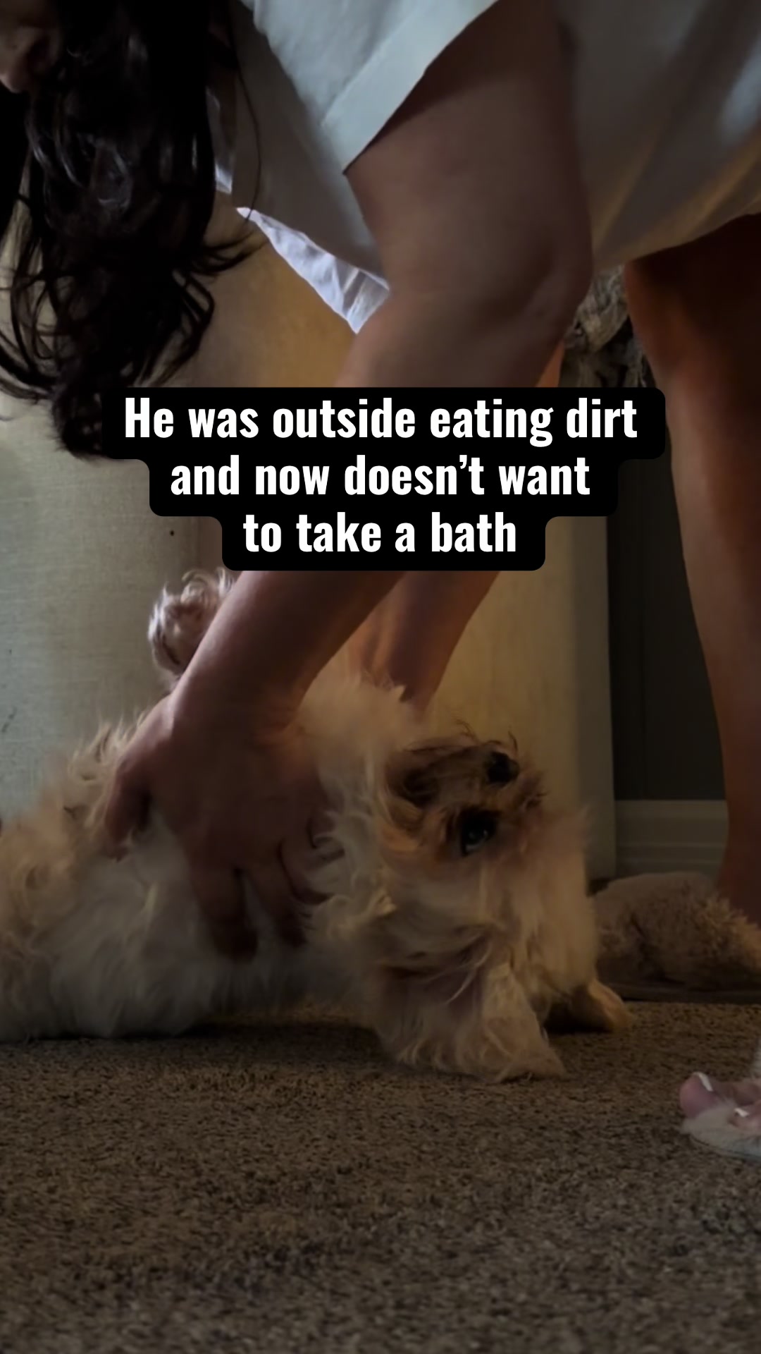@Jo Ellison