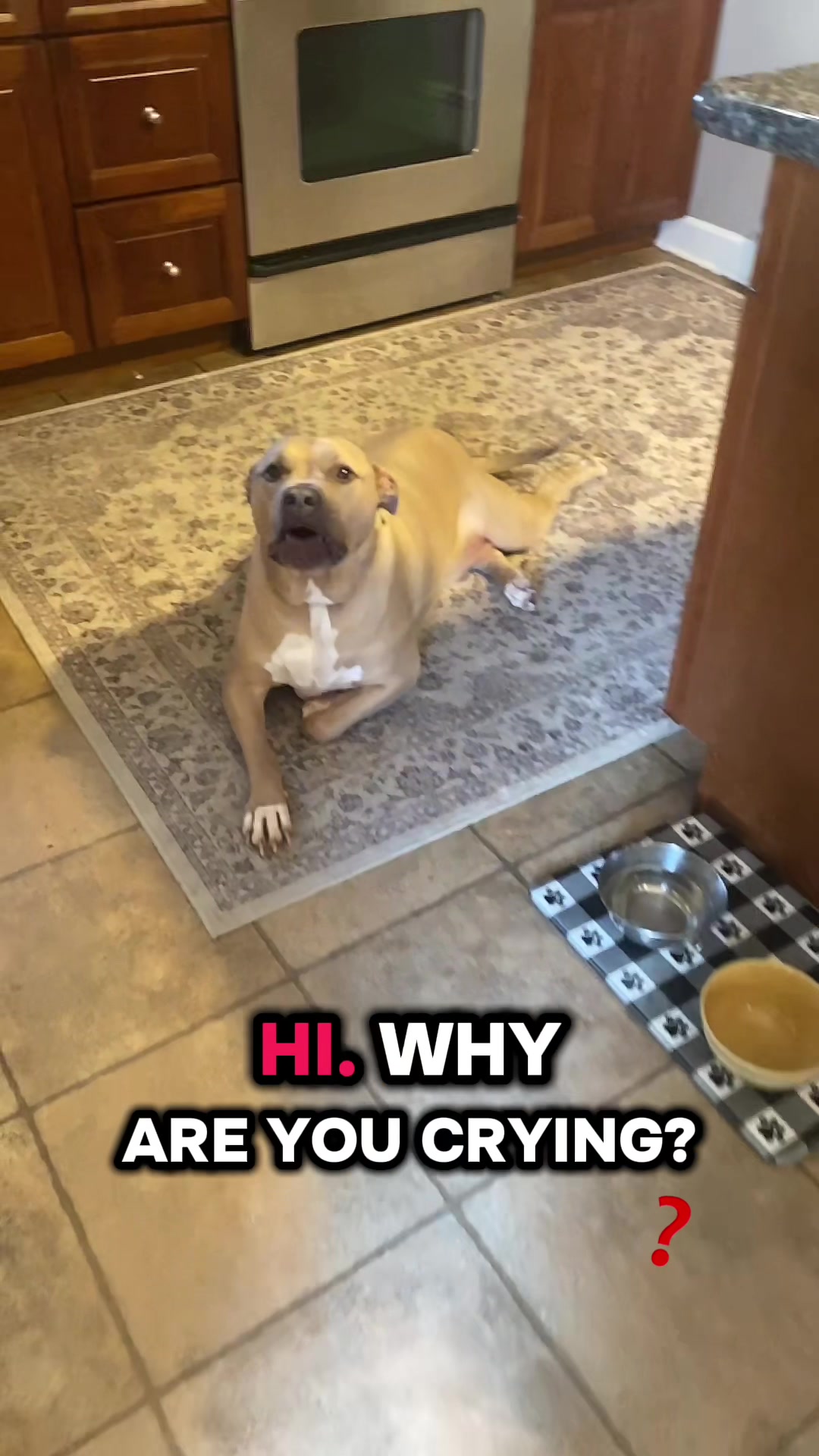 @Heather & Rocky 🐾💕