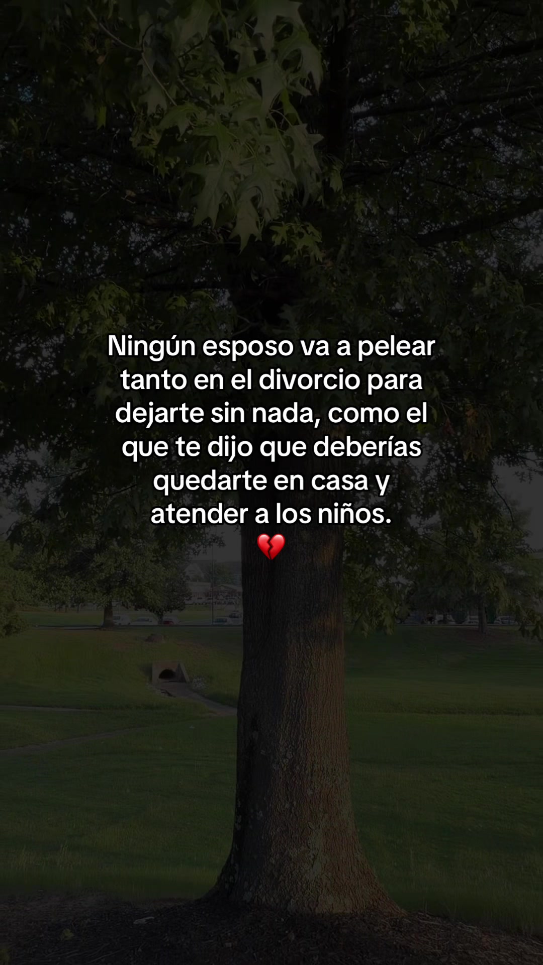 @hadadeletras