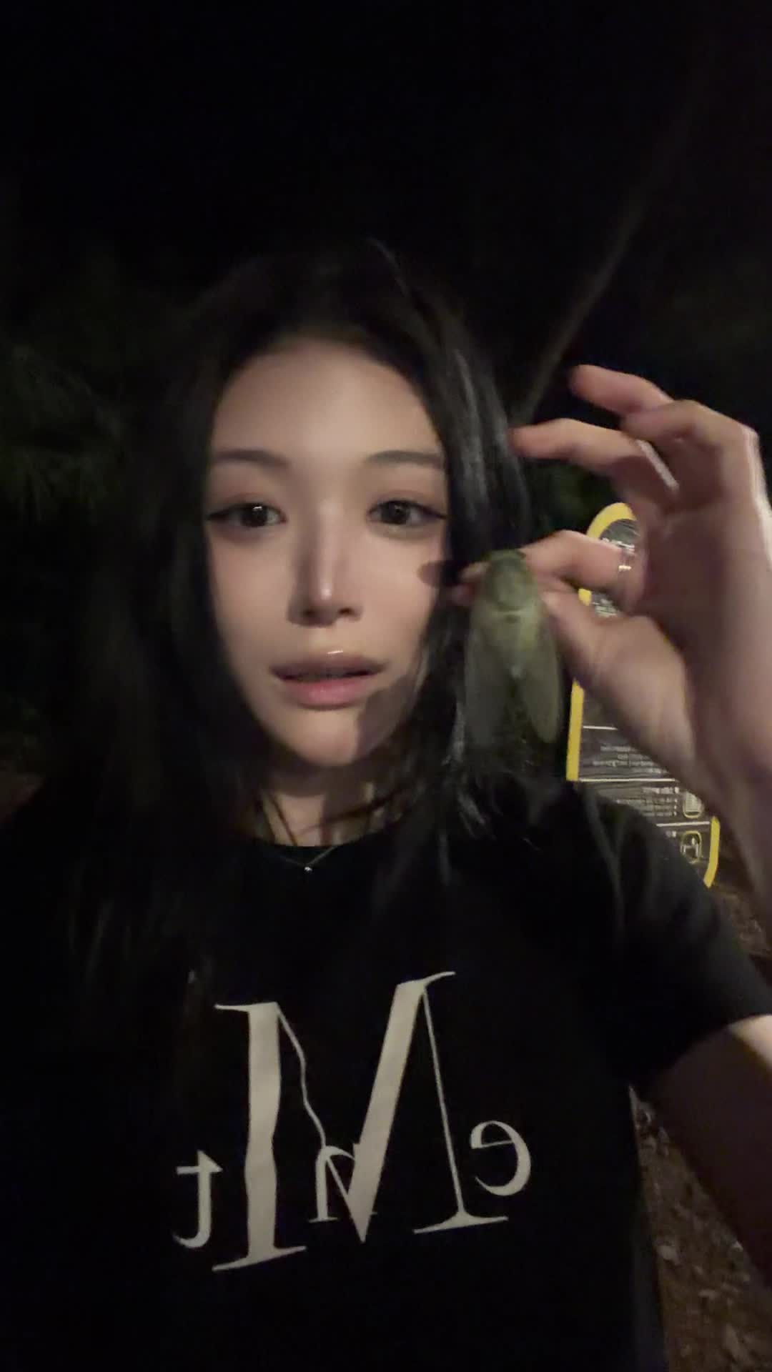 @채유