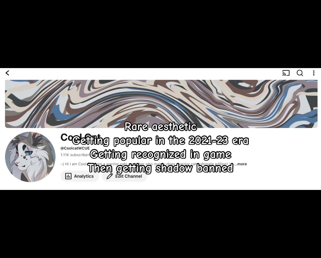 @Cool Cat COMMISSIONS OPEN