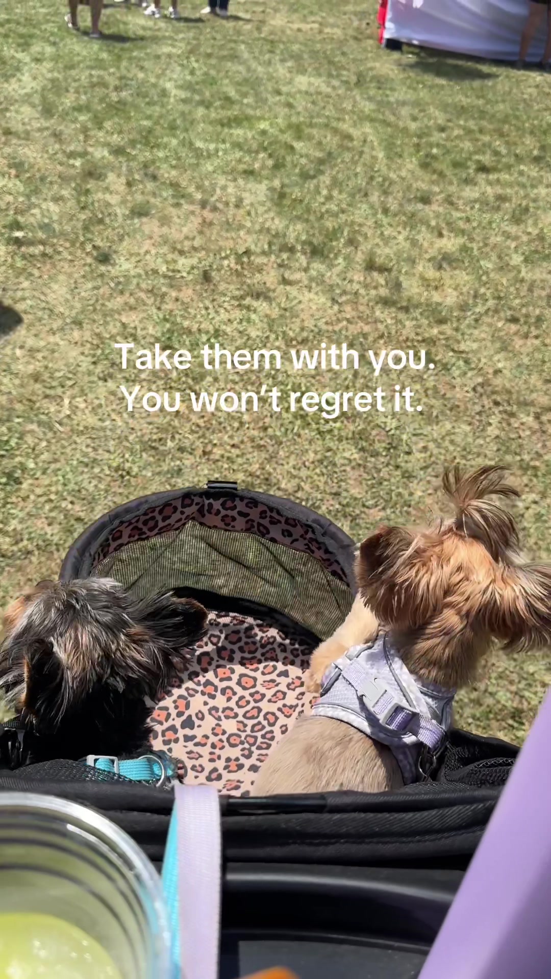 @Lauren Lee