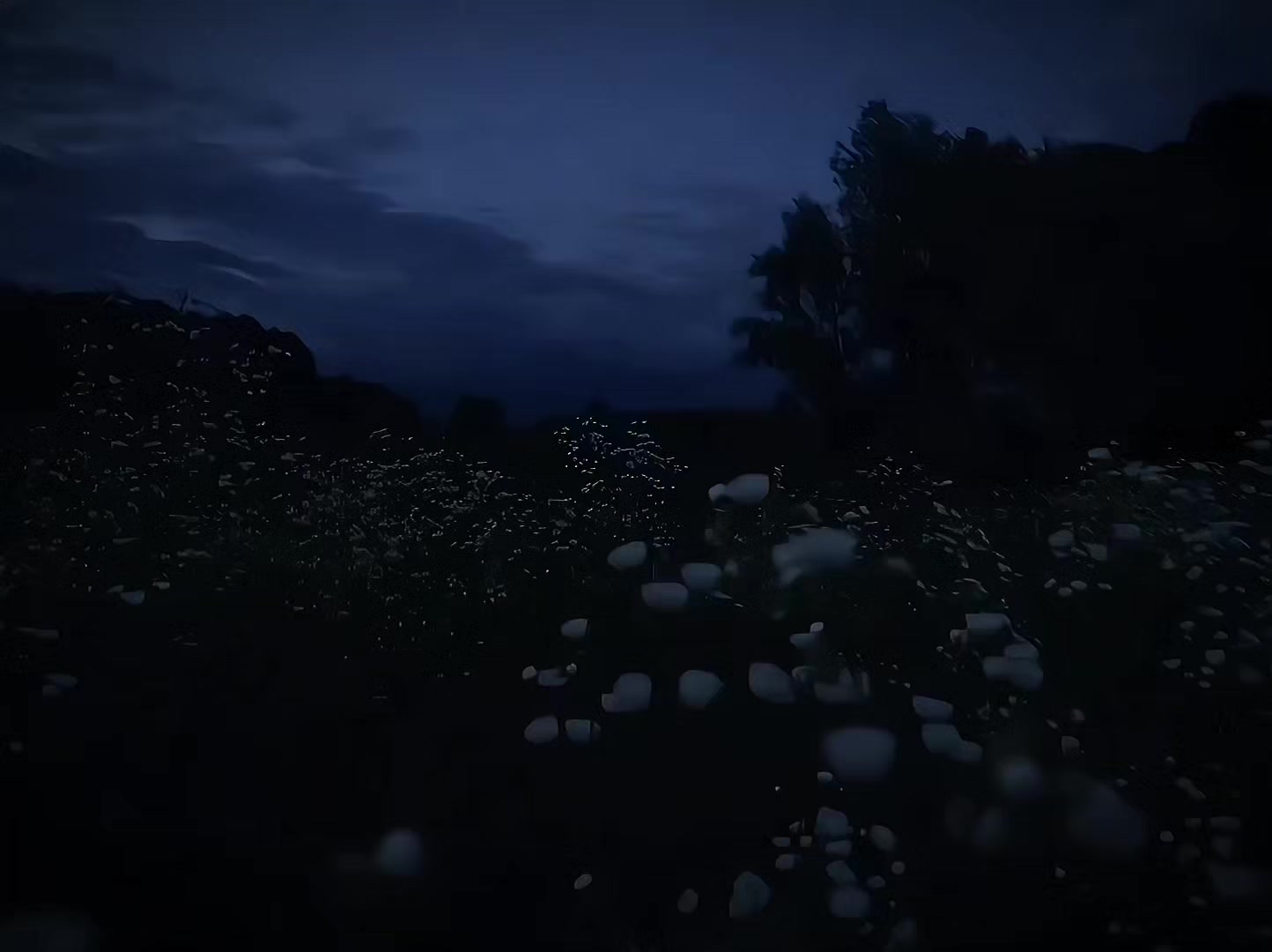 @ᴀɴɢᴇʟ