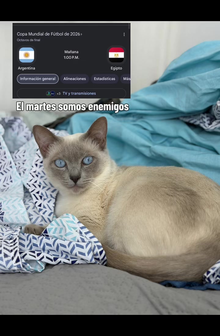 @Virgi Gorosito