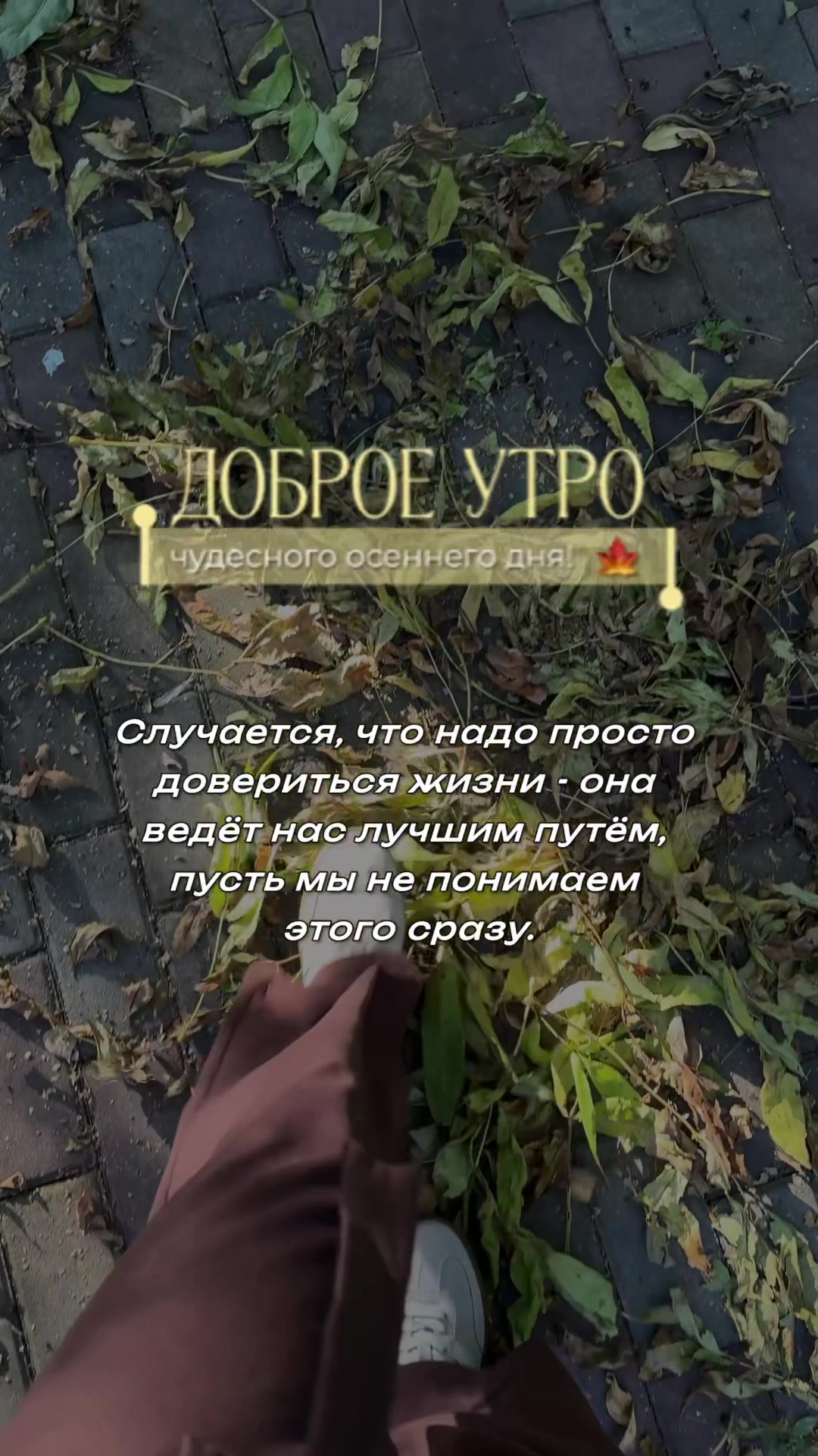 @Vera