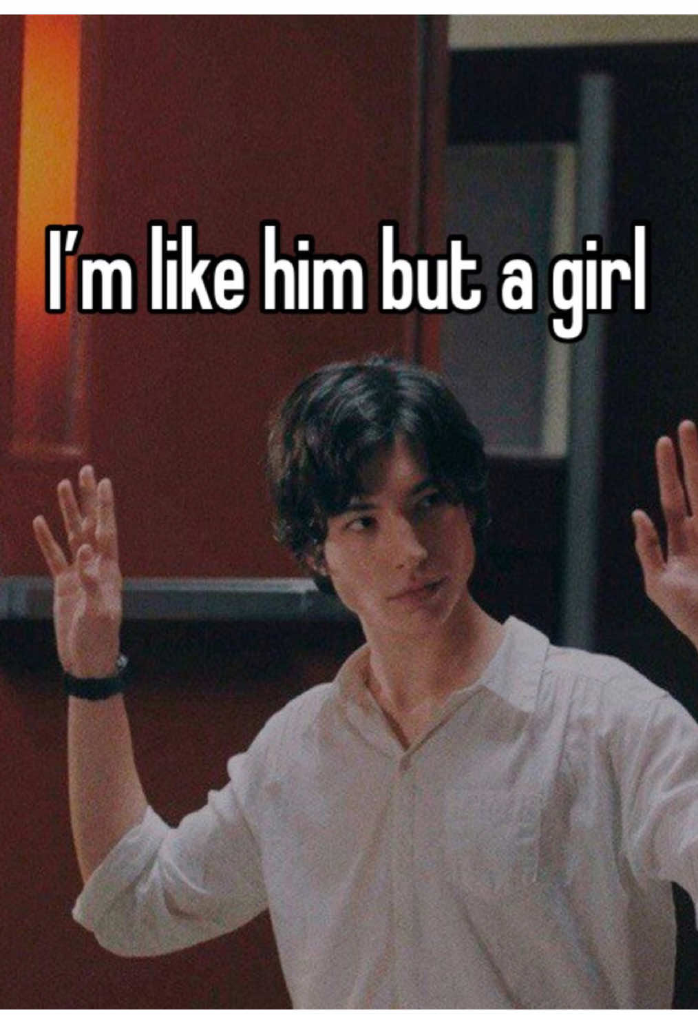 @≽^•˕• ྀི≼