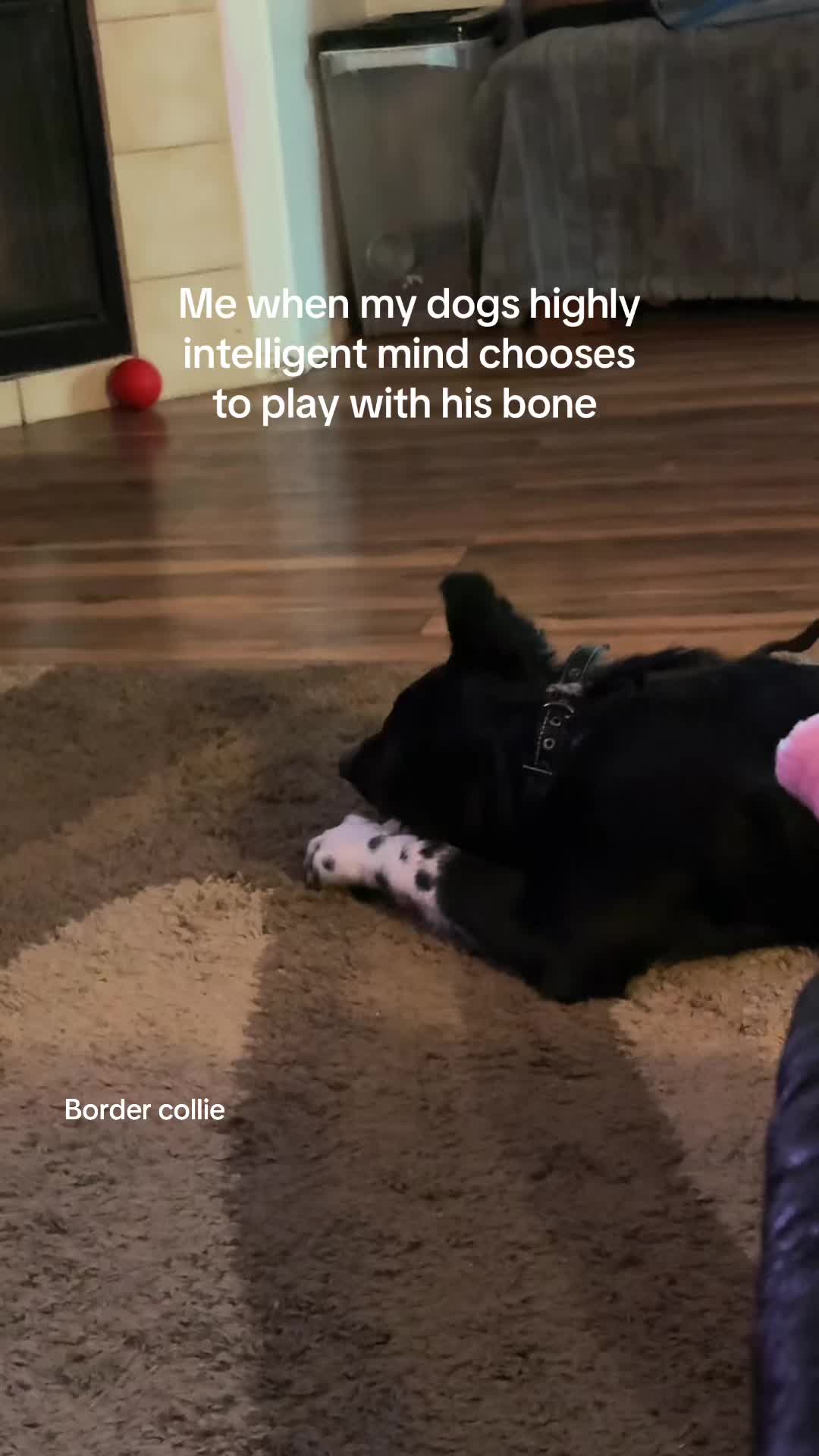 @&hearts;️Jen&hearts;️
