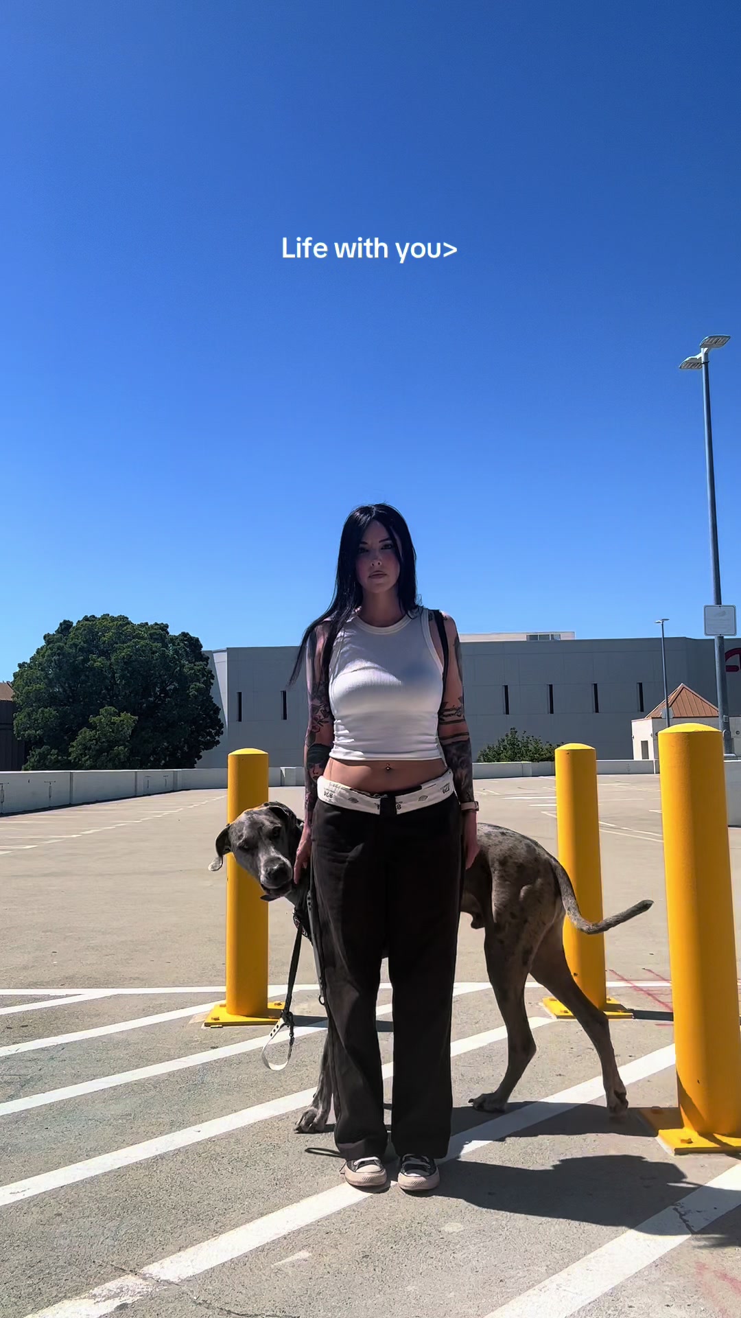 @lex 🐺⛓️