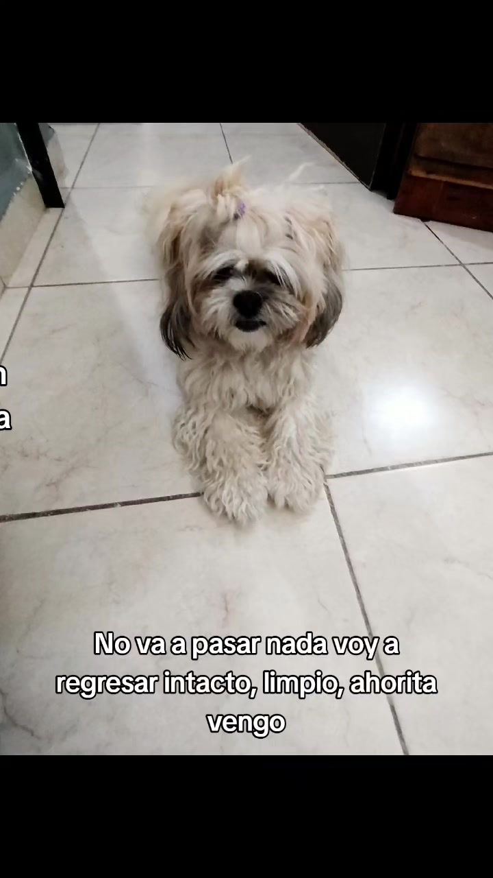 @Rocio Aguiñiga Reyna