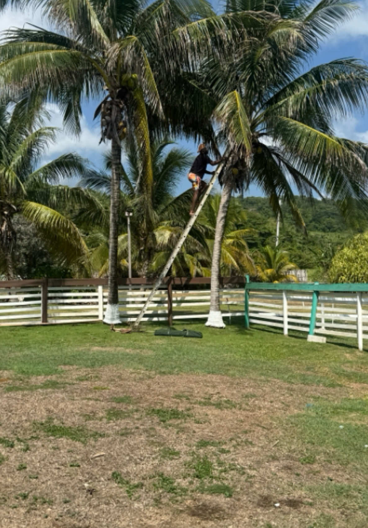 @Swaby Poppins