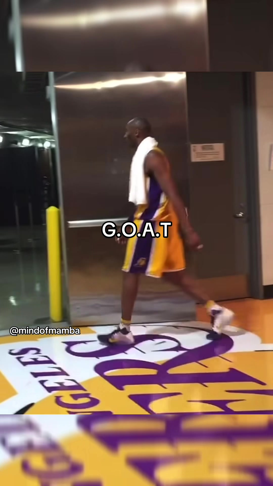 @MindOfMamba