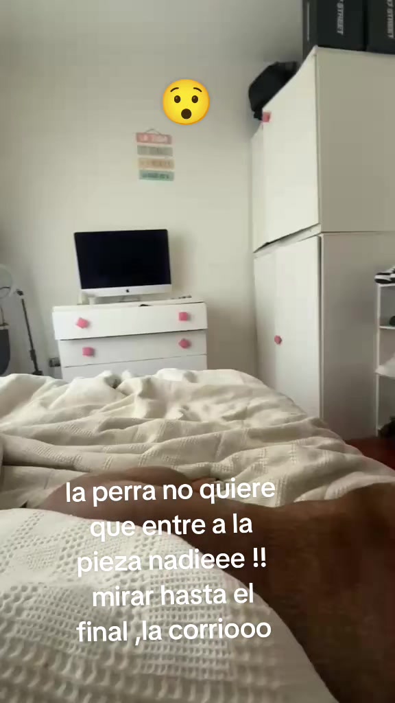 @andreatesta69