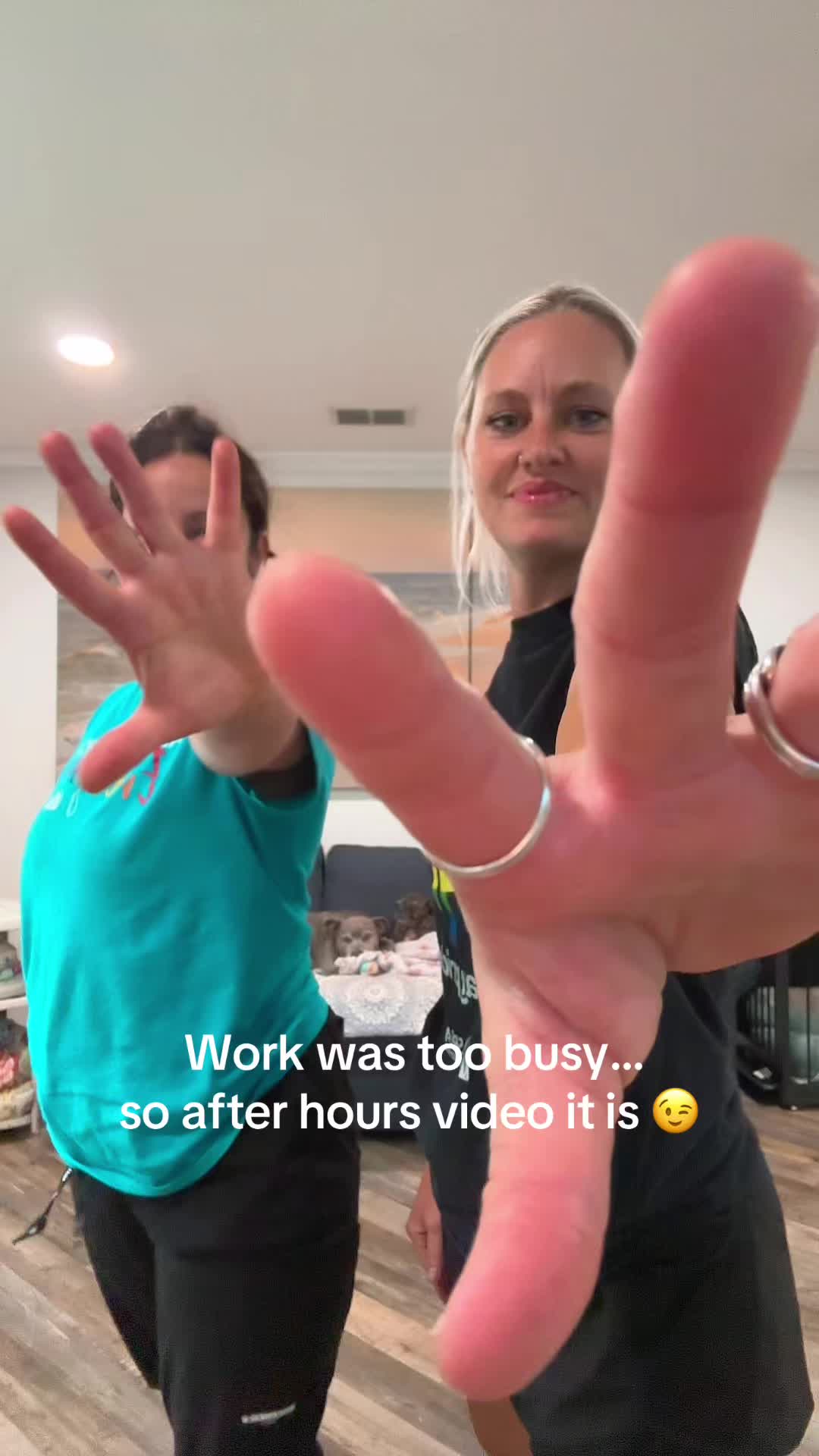 @2vettechs