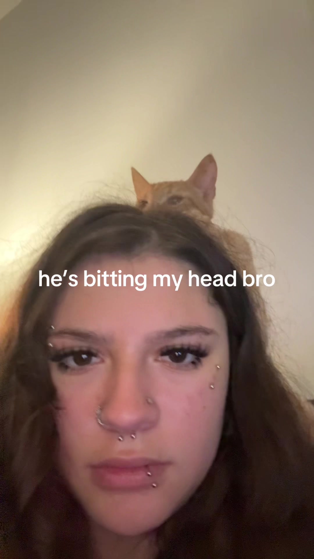 @jajaja