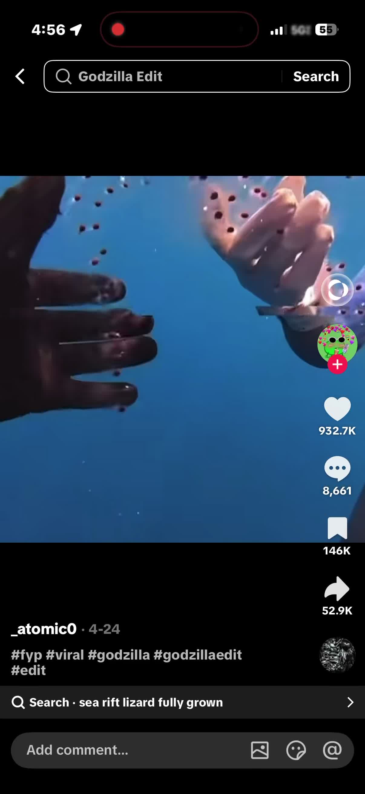 @fortnitepet13