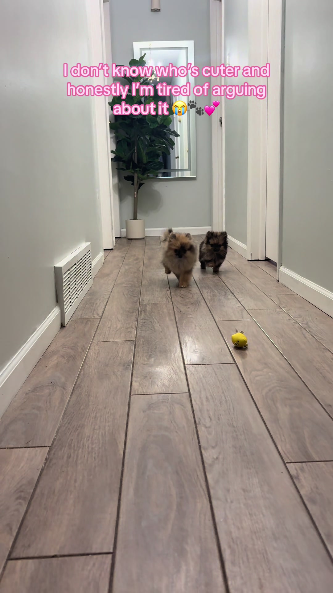 @Dannys Family Pets
