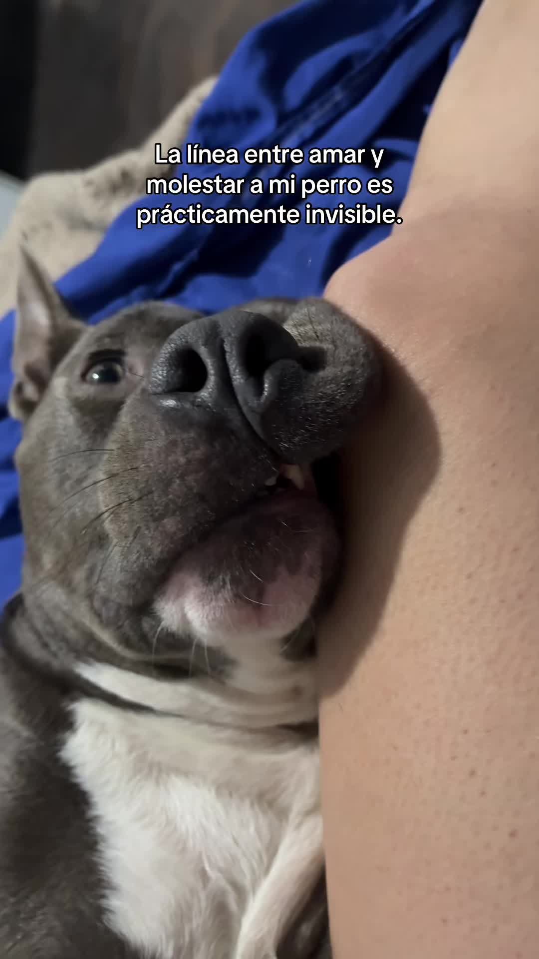 @Giulietta