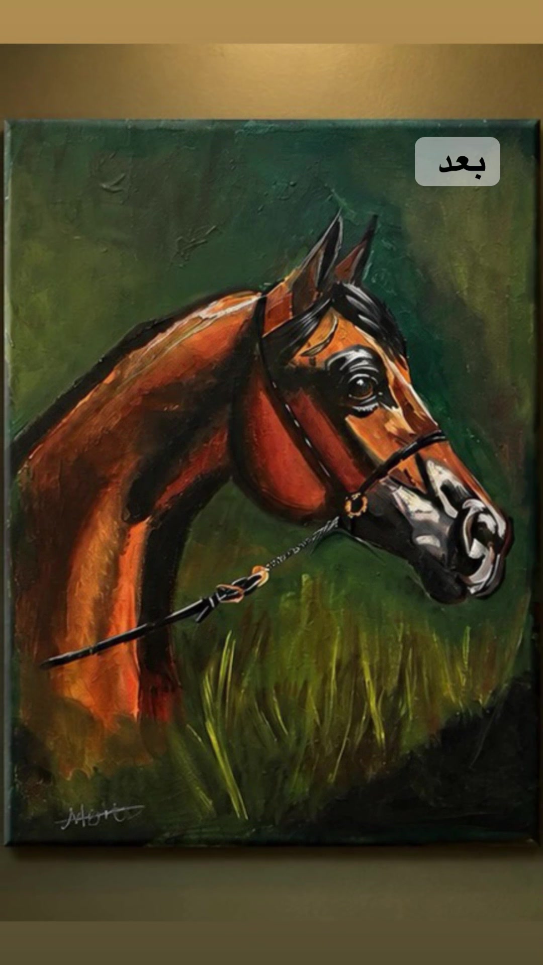 @فآرقة | Fareqa 🎨