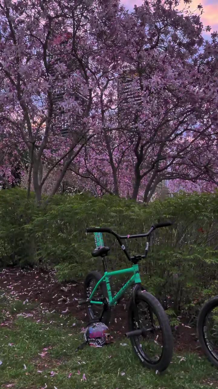 @zee.bmx