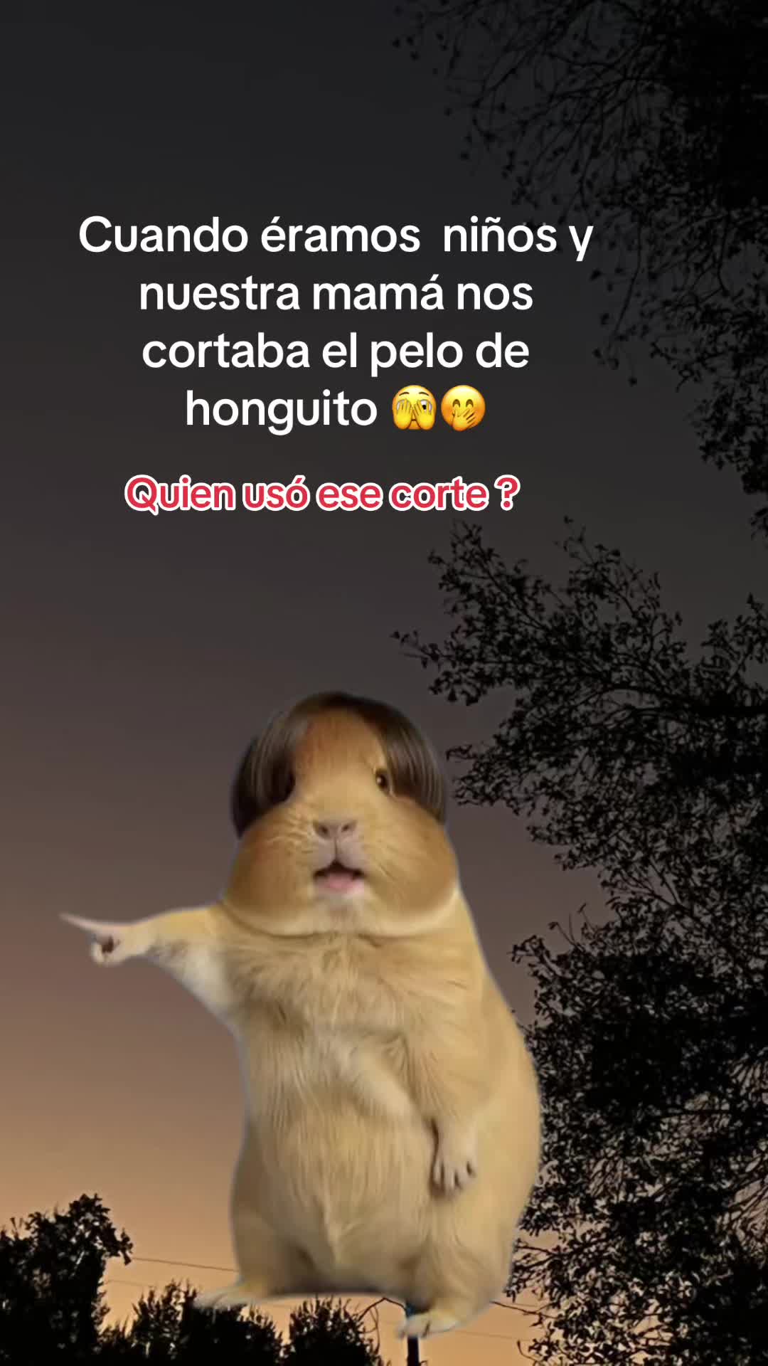 @𝓐𝓵𝓲𝓬𝓮 𝓖'👩&zwj;🍳🍪🦋☘️
