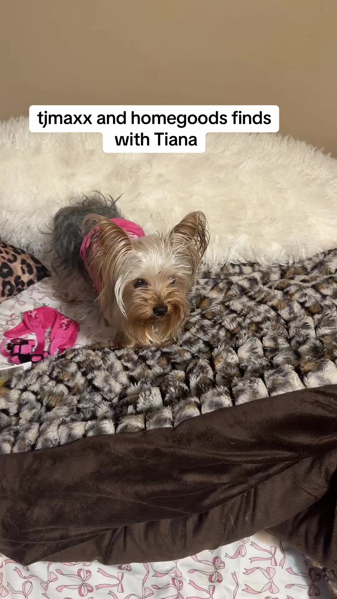 @Hannah Inzer | Dog Mom
