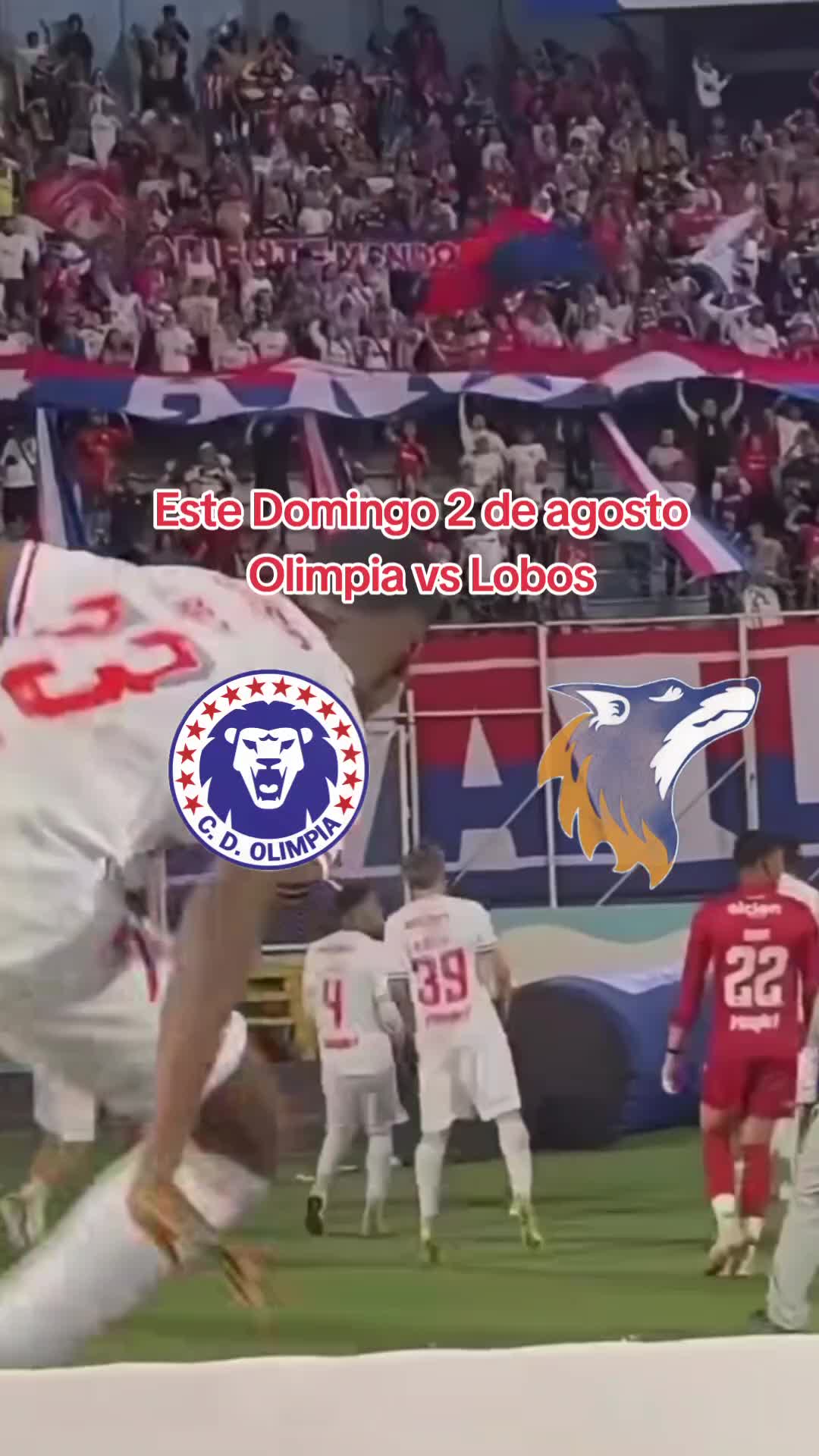 @TEAM OLIMPIA💙🤍❤️🦁👑