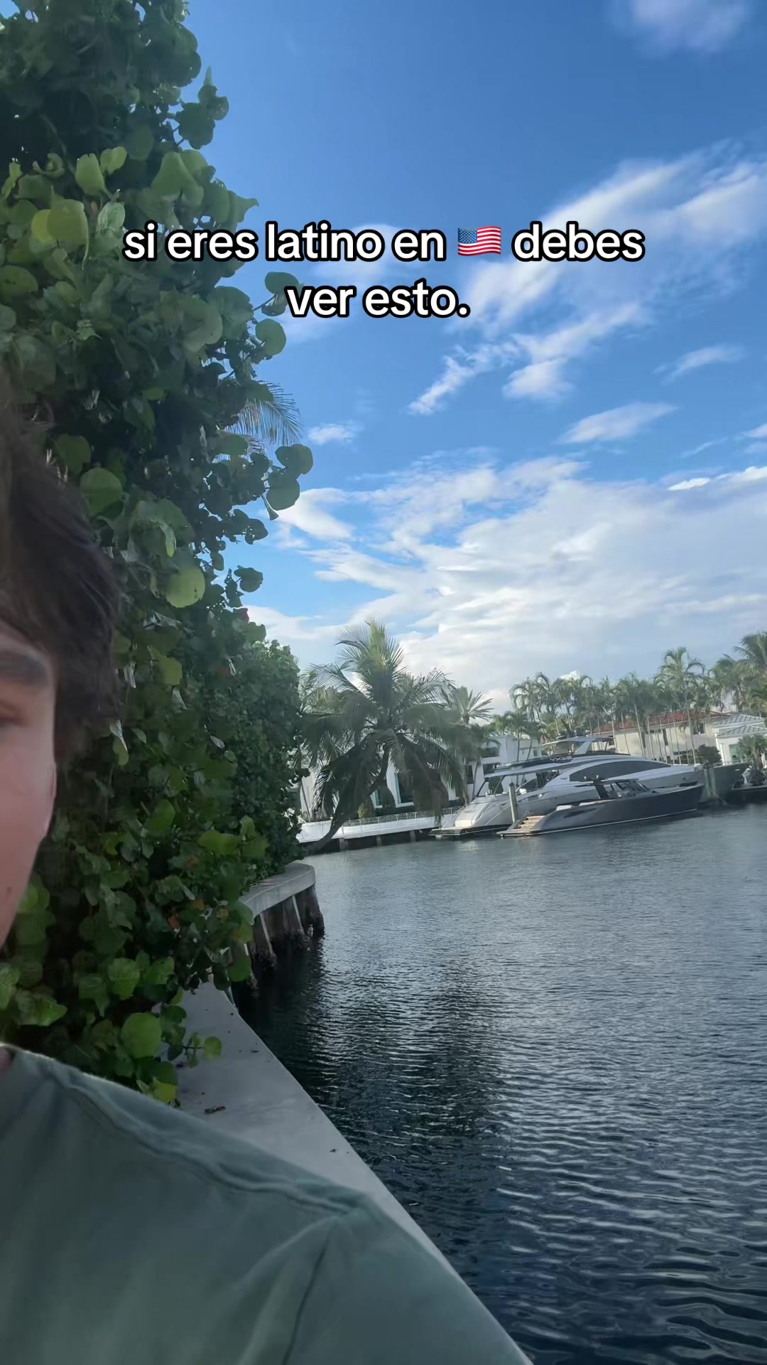 @mendiolaenusa