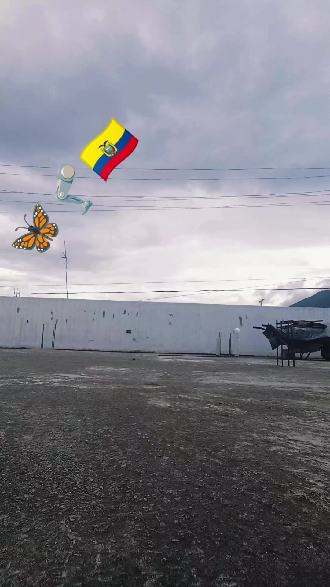 @Mariposita Kilina 🦋🦿🇪🇨