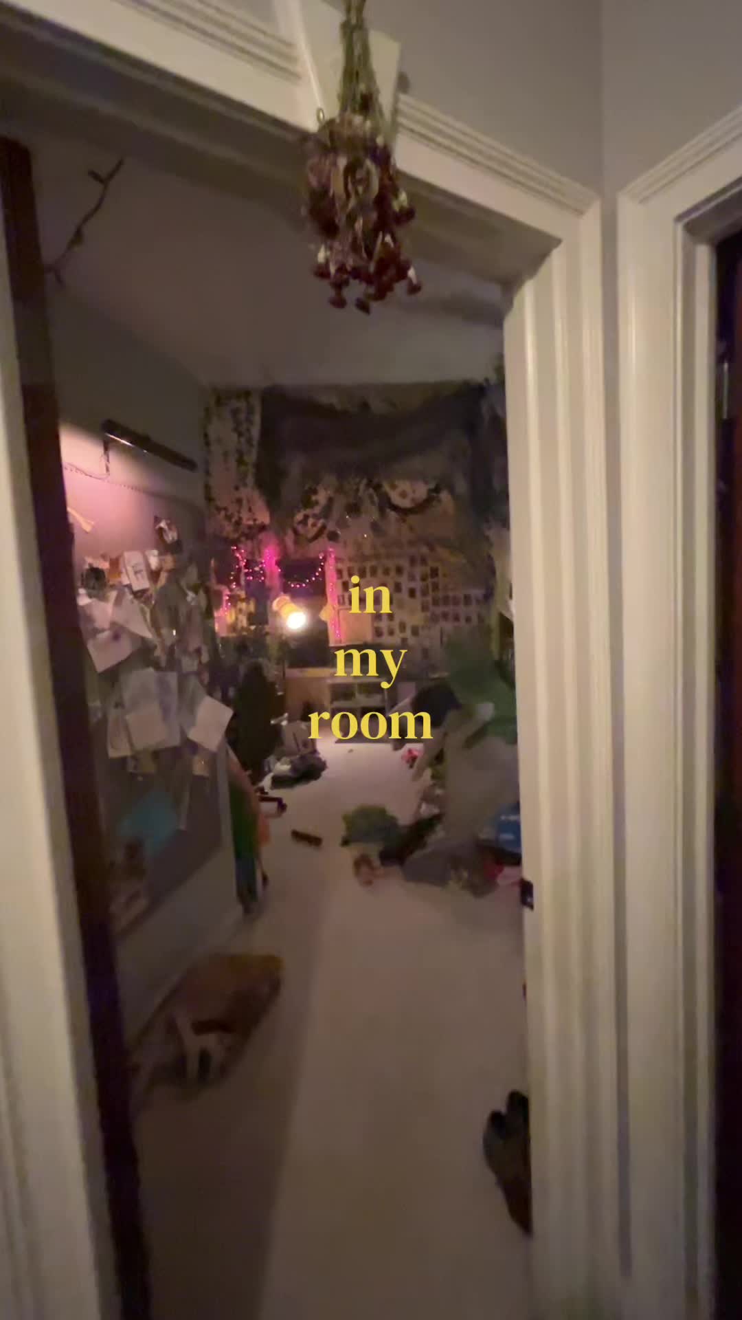@dillpicklepeanuts