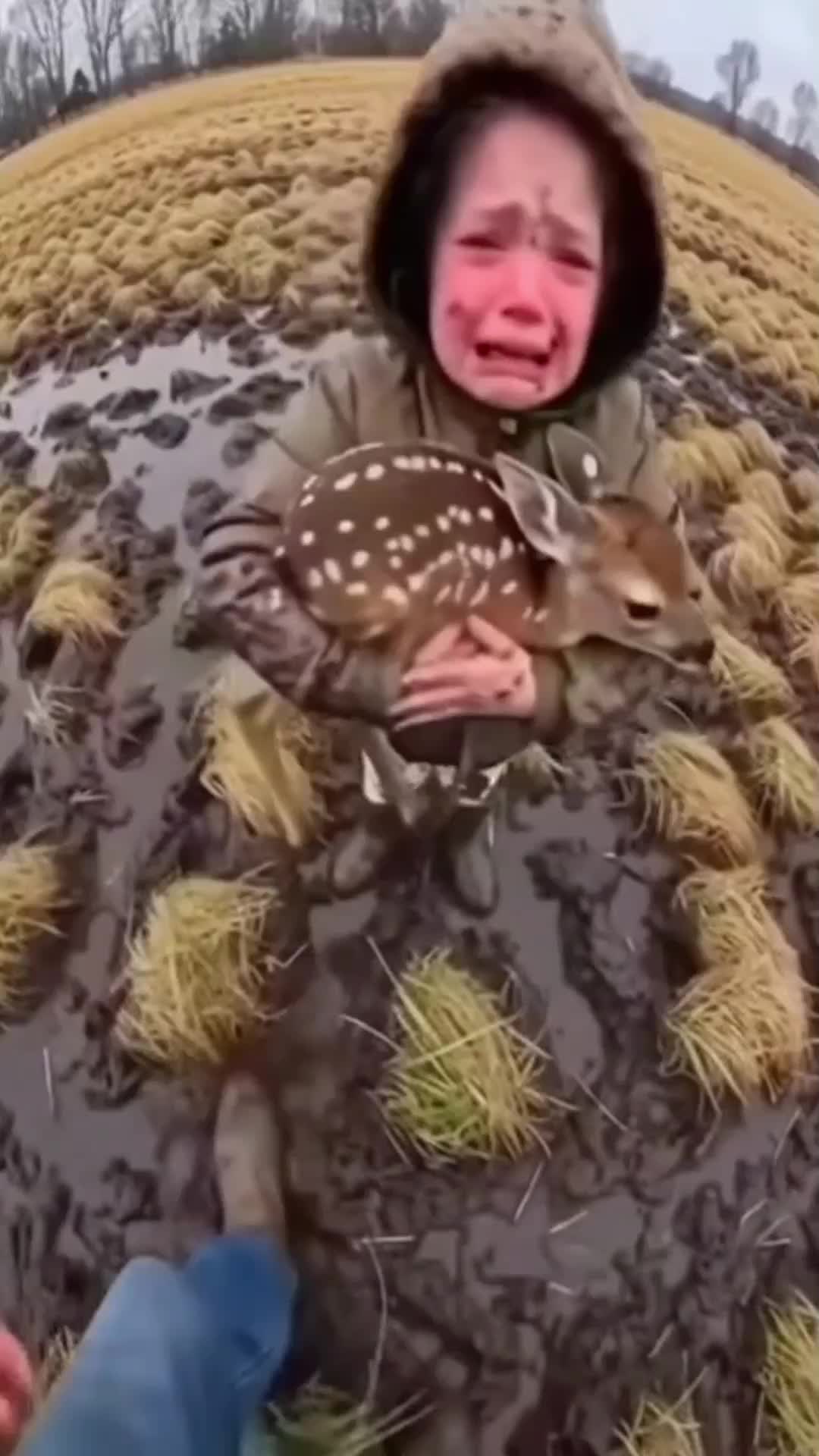 @The Animal Diary