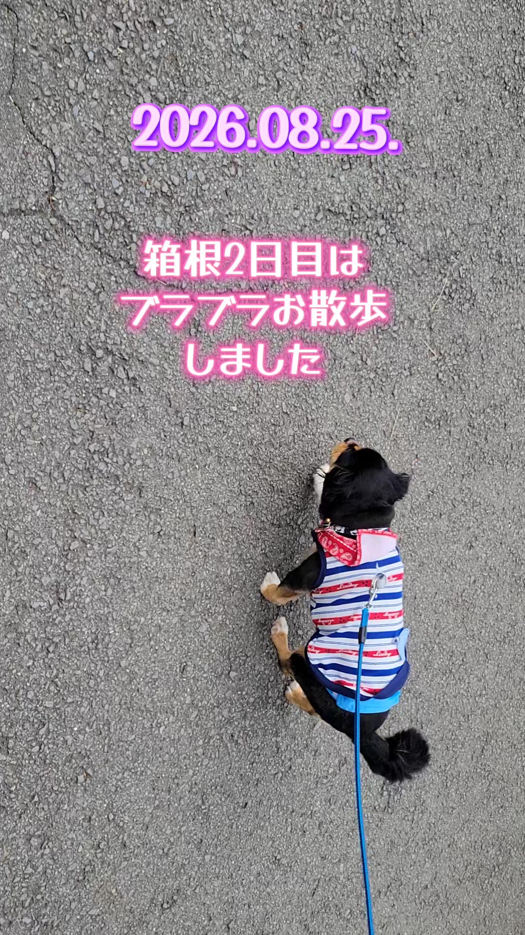 @くぅ♂︎成長日記♡