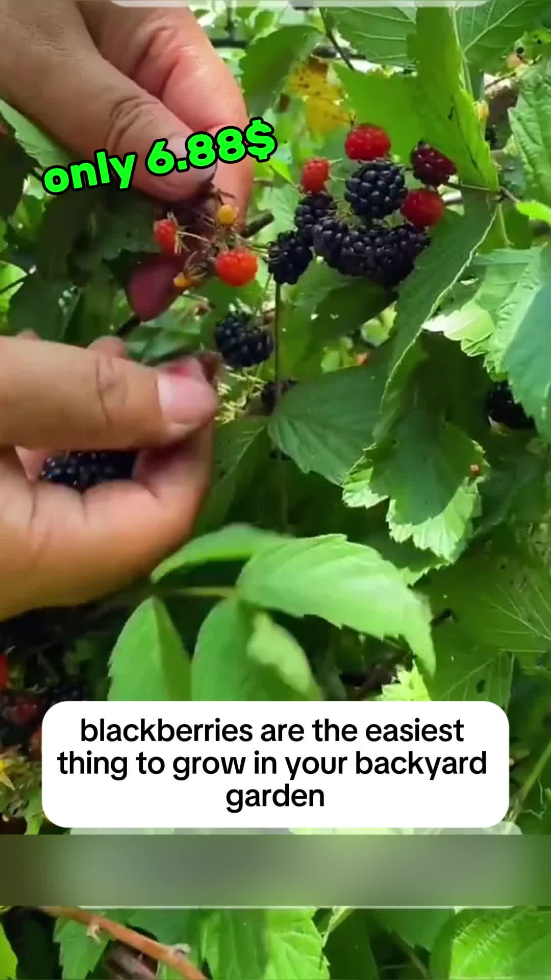 @1
