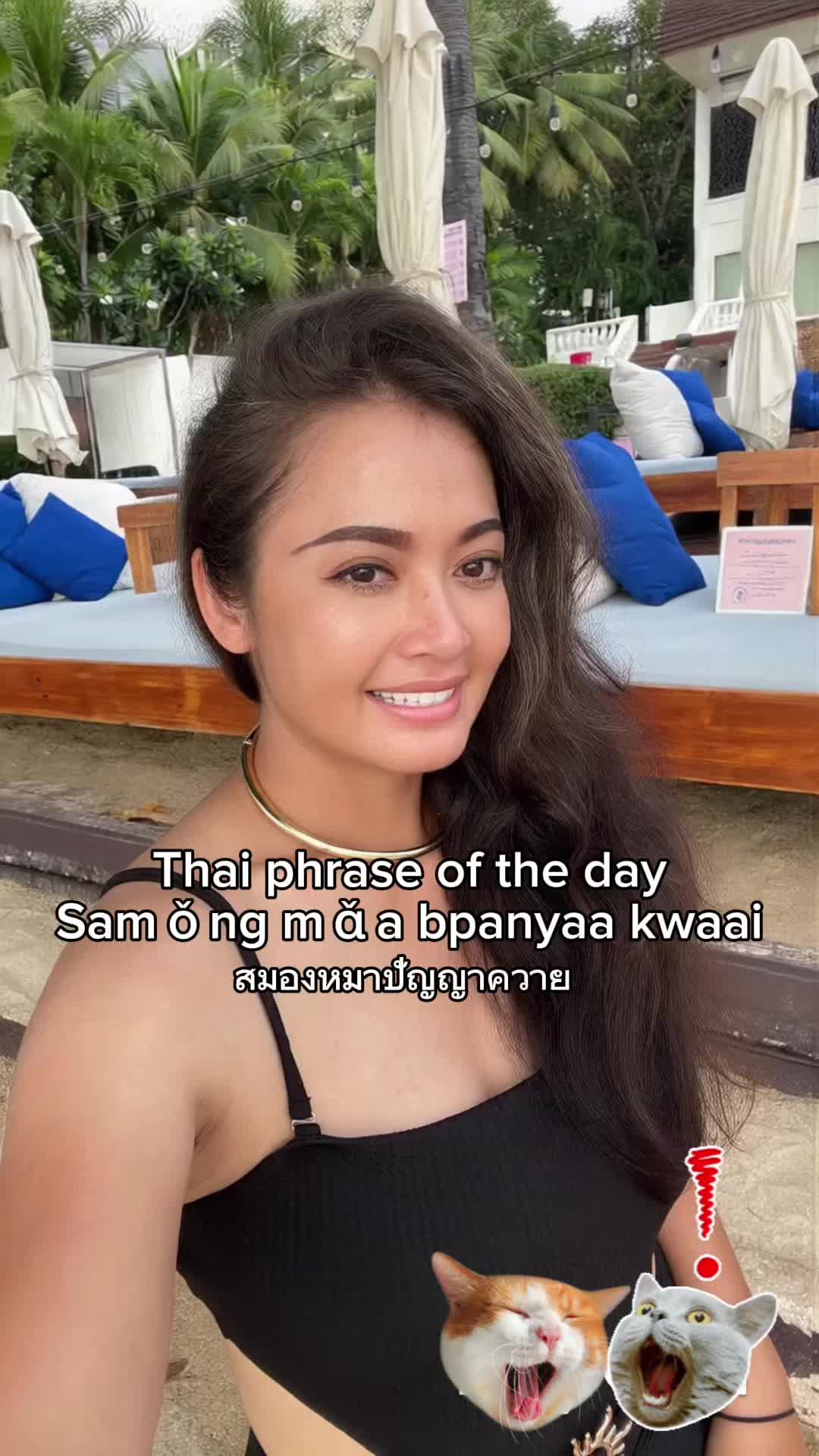 @Jan Yousagoon