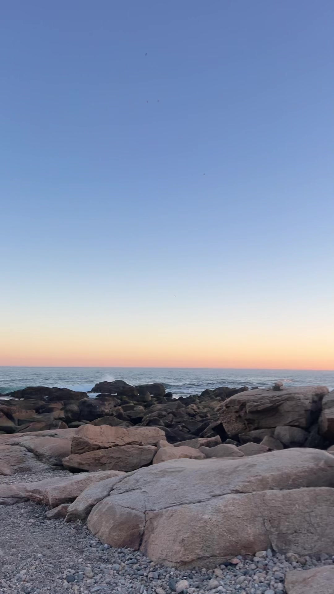 @Julia Ledda 🌊