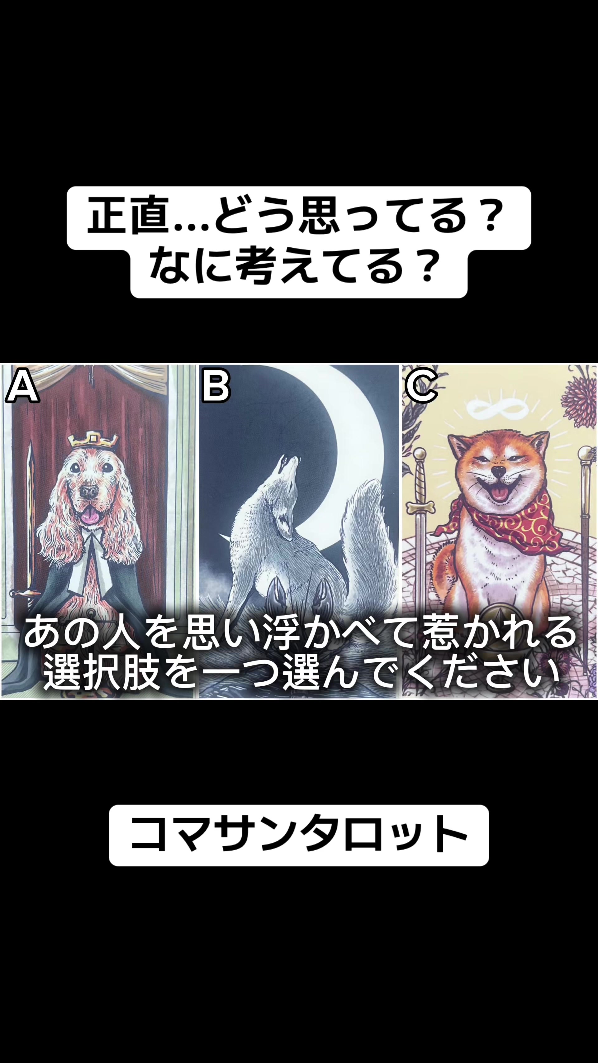@こまさん/タロット王子