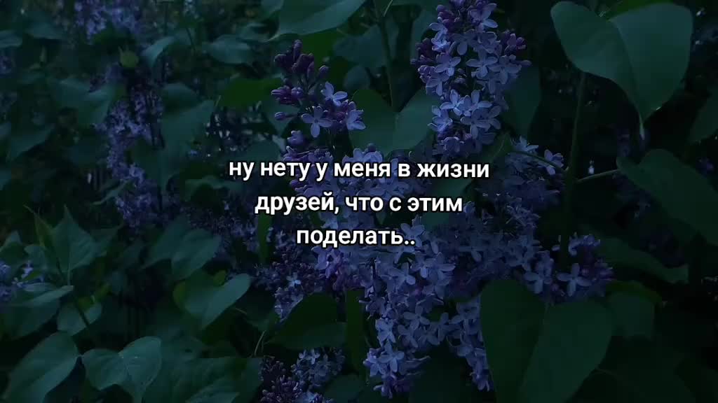 @стояк олега