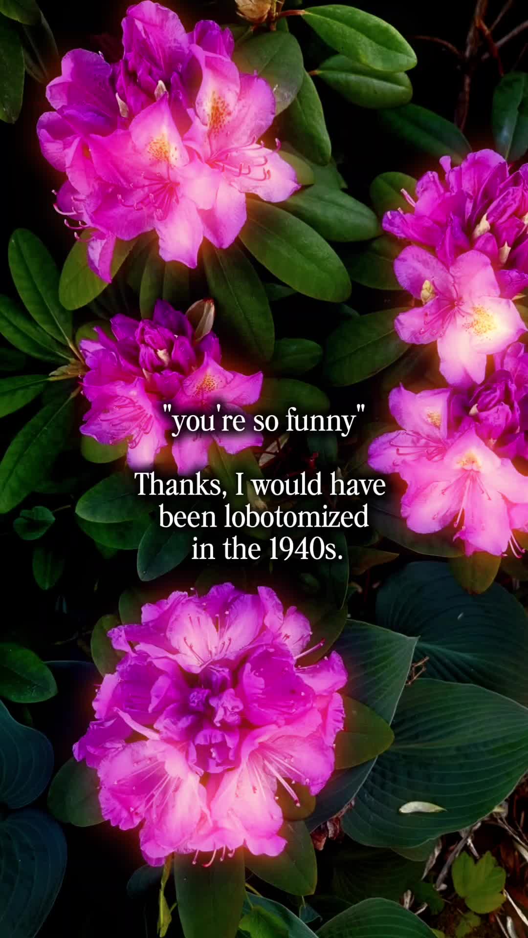 @Mariah